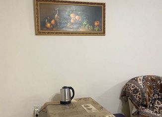 Аренда 1-комнатной квартиры, 40 м2, Махачкала, улица Гагарина, 198