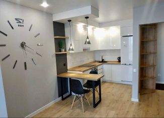 Продается однокомнатная квартира, 24 м2, Сочи, Клубничная улица, 62, микрорайон Новый Сочи