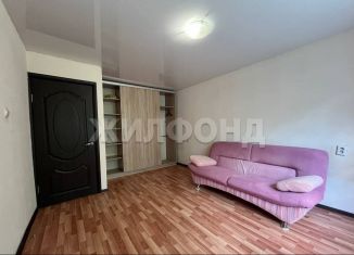 Продажа 1-ком. квартиры, 28.9 м2, Новосибирск, Гусинобродское шоссе, 19/1, Дзержинский район