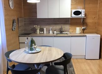 Сдается дача, 96 м2, Татарстан, СНТ Коллективного сада № 8 Казанского Авиационного Производственного Объединения имени С.П. Горбунова, 793А