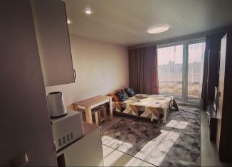 Сдам в аренду квартиру студию, 24.5 м2, Тюменская область, улица Вице-адмирала Воронцова, 5