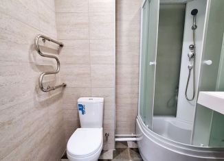 1-комнатная квартира на продажу, 30.6 м2, Казань, улица Халева, 3