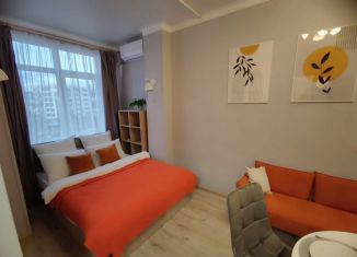 Сдается в аренду однокомнатная квартира, 35 м2, Сочи, Изумрудная улица, 38, микрорайон Голубые Дали