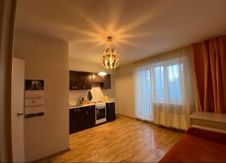 Сдача в аренду квартиры студии, 26 м2, Челябинская область, Краснопольский проспект, 3В
