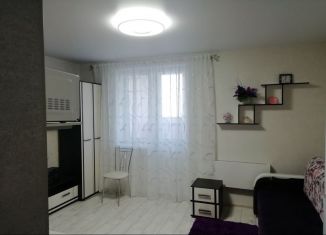 Продажа квартиры студии, 21.5 м2, Нижний Новгород, метро Горьковская, Краснозвёздная улица, 6