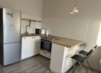 Аренда квартиры студии, 24 м2, Мурино, Петровский бульвар, 7, ЖК Ласточка