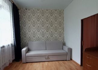 Продается 2-комнатная квартира, 25.2 м2, Арзамас, улица Гладкова, 29А