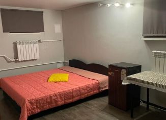 Сдается в аренду комната, 20 м2, Санкт-Петербург, Детская улица, 11, метро Приморская