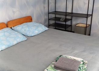 Дом в аренду, 60 м2, поселок Аршан, Набережная улица, 65