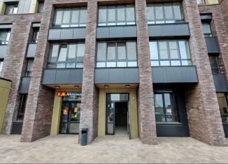 Помещение свободного назначения на продажу, 34.1 м2, Ленинградская область