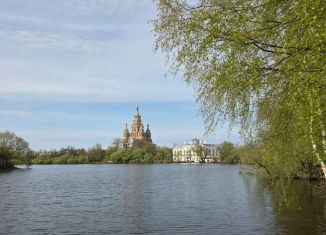 Продажа 1-ком. квартиры, 27.9 м2, Петергоф, улица Путешественника Козлова, 11