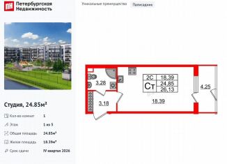 Продам квартиру студию, 24.9 м2, Санкт-Петербург, метро Звёздная