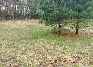 Продам земельный участок, 25 сот., деревня Заборное, Центральная улица