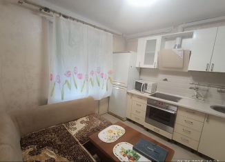 Аренда 1-ком. квартиры, 30 м2, Сочи, Абрикосовая улица, 19, микрорайон Заречный