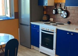 Сдача в аренду 1-комнатной квартиры, 43.5 м2, Щербинка, Индустриальная улица