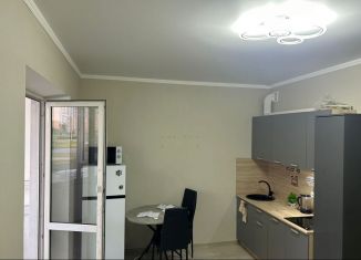 Сдается в аренду квартира студия, 25 м2, Ростов-на-Дону, улица Ерёменко, 108с1, ЖК Пятый Элемент