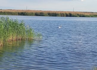 Продаю дачу, 52 м2, Волгоград, 26-я линия