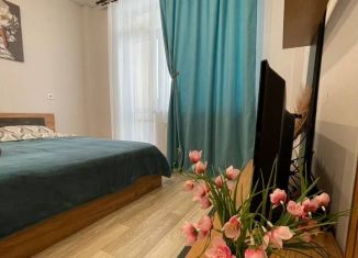 Сдается в аренду квартира студия, 24 м2, Екатеринбург, улица Крестинского, 35, Чкаловский район