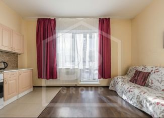 Продается квартира студия, 22.3 м2, Мурино, бульвар Менделеева, 11к2, ЖК Юпитер