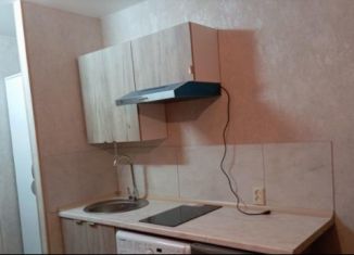Аренда квартиры студии, 18.5 м2, Новосибирск, улица Жуковского, 105, метро Заельцовская