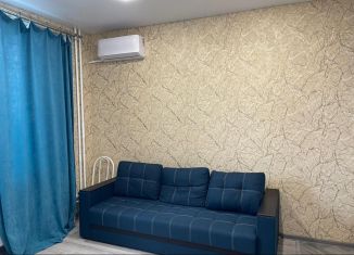 Сдам в аренду квартиру студию, 26 м2, Ростов-на-Дону, улица Еляна, 40, ЖК Левенцовка Парк