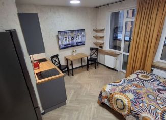 Сдаю квартиру студию, 27 м2, Пушкин, улица Архитектора Данини, 23к2