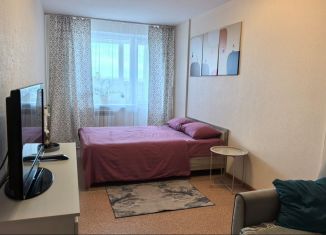 Сдаю в аренду однокомнатную квартиру, 40 м2, Томск, Большая Подгорная улица, 87блок6