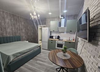 Продам квартиру студию, 27.3 м2, Краснодар, Российская улица, 267/3к4, Прикубанский округ