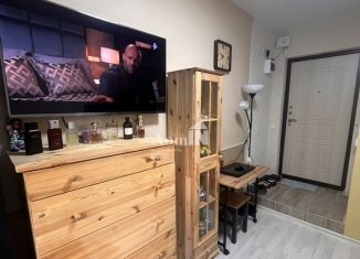 Продам квартиру студию, 15 м2, Санкт-Петербург, Авангардная улица, 23, метро Проспект Ветеранов