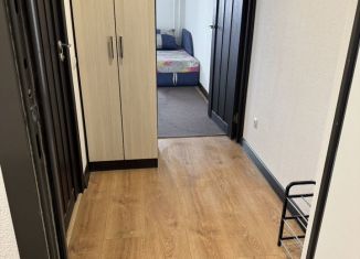 Сдача в аренду квартиры студии, 22.9 м2, Мурино, проспект Авиаторов Балтики, 29к2