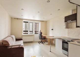 Продажа квартиры студии, 23.6 м2, Санкт-Петербург, Русановская улица, 16к1, муниципальный округ Народный