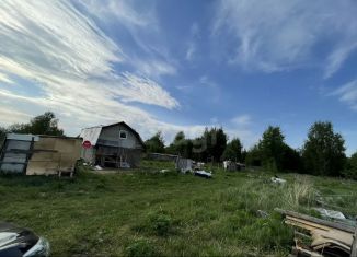 Продается дом, 24 м2, деревня Ручей, Центральная улица