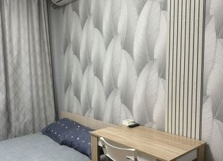 Сдаю в аренду 1-комнатную квартиру, 24 м2, Сочи, переулок Рахманинова, 41, микрорайон Новый Сочи