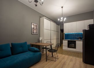 Сдам квартиру студию, 25 м2, Санкт-Петербург, улица Александра Матросова, 3, Выборгский район