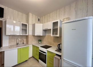 1-комнатная квартира в аренду, 36 м2, деревня Новое Девяткино, Арсенальная улица, 2, ЖК Девяткино