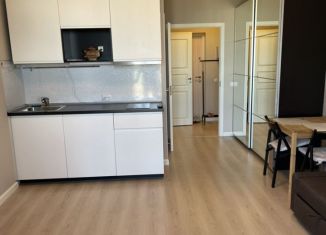 Аренда квартиры студии, 30 м2, Санкт-Петербург, Русановская улица, 19к3, ЖК Ласточкино Гнездо