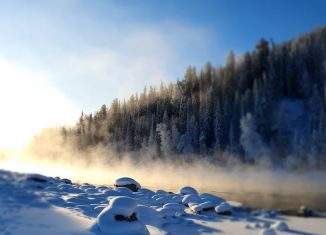 Сдается дом, 18 м2, село Усть-Пыжа, Береговая улица