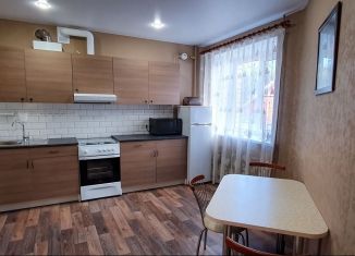 Сдается в аренду однокомнатная квартира, 49.6 м2, Воронежская область, жилой массив Лесная Поляна - 3, 2А