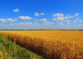 Продается участок, 1537 сот., Оренбургская область, Советская улица