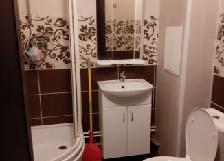 Аренда квартиры студии, 25 м2, Мурино, Графская улица, 8, ЖК Гринландия-2