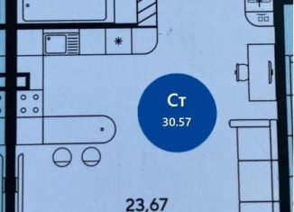 Продается квартира студия, 30.6 м2, Ростов-на-Дону, Ашхабадский переулок, 2/46, ЖК Ленина, 46