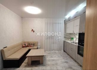 Продам 2-ком. квартиру, 45.2 м2, Новосибирск, улица Мясниковой, 6/1, ЖК Стрижи на Родниках