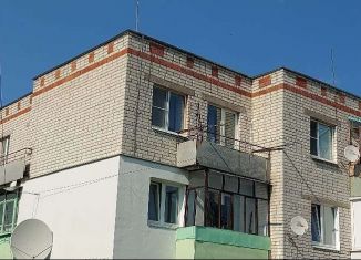 Продаю трехкомнатную квартиру, 67 м2, деревня Берёзовка, Комсомольская улица, 19
