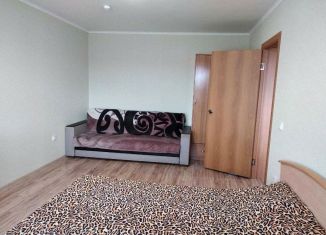 1-комнатная квартира в аренду, 39 м2, Новороссийск, проспект Дзержинского, 238