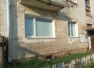 Продаю 1-комнатную квартиру, 29.9 м2, село Новгородка, Новая улица, 17