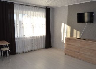 Квартира в аренду студия, 31 м2, Ахтубинск, улица Жуковского, 18