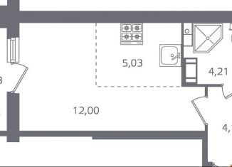 Продаю квартиру студию, 27 м2, Санкт-Петербург, метро Выборгская