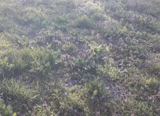 Продаю участок, 10 сот., село Стерегущее