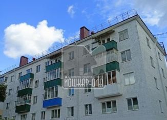 Продаю 1-комнатную квартиру, 30 м2, Звенигово, улица Гагарина, 3