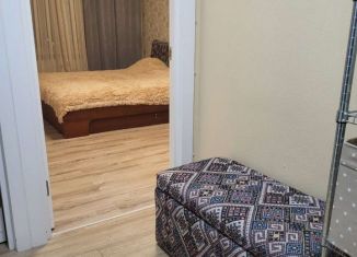 Аренда 1-комнатной квартиры, 38 м2, деревня Раздоры, улица Липовой Рощи, 2к1